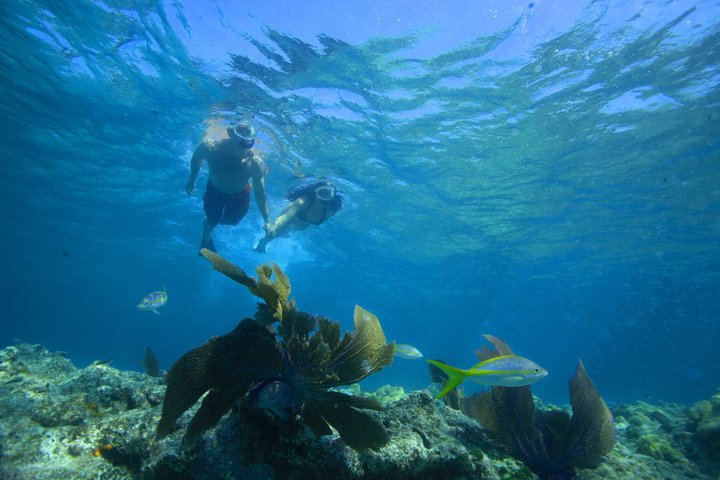 Key West Reef Snorkel - Morning Mimosas or Afternoon Margaritas - Photo 1 of 17